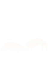 Couple ring icon